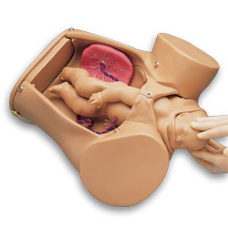 Advanced Childbirth Simulator