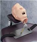 Dental Manikins
