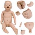 New Born Manikins